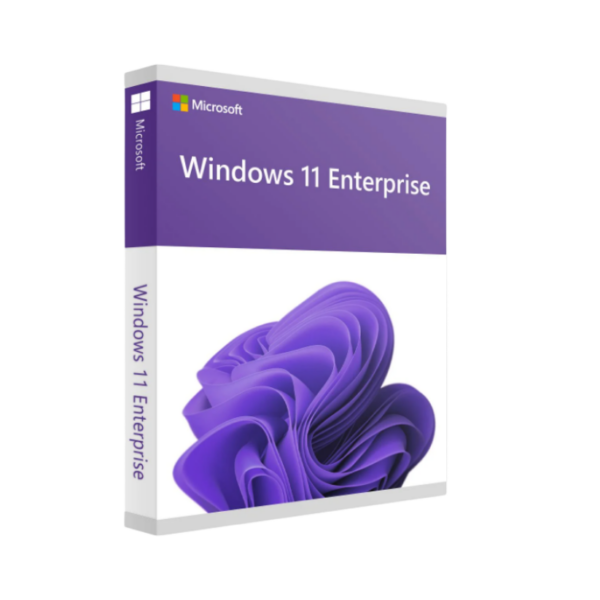 Microsoft Windows 11 Enterprise USB Kutu
